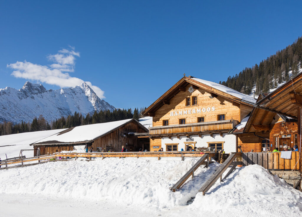 rodelpark mit skihütte und bergblick3 rodelpark mit skihütte und bergblick3