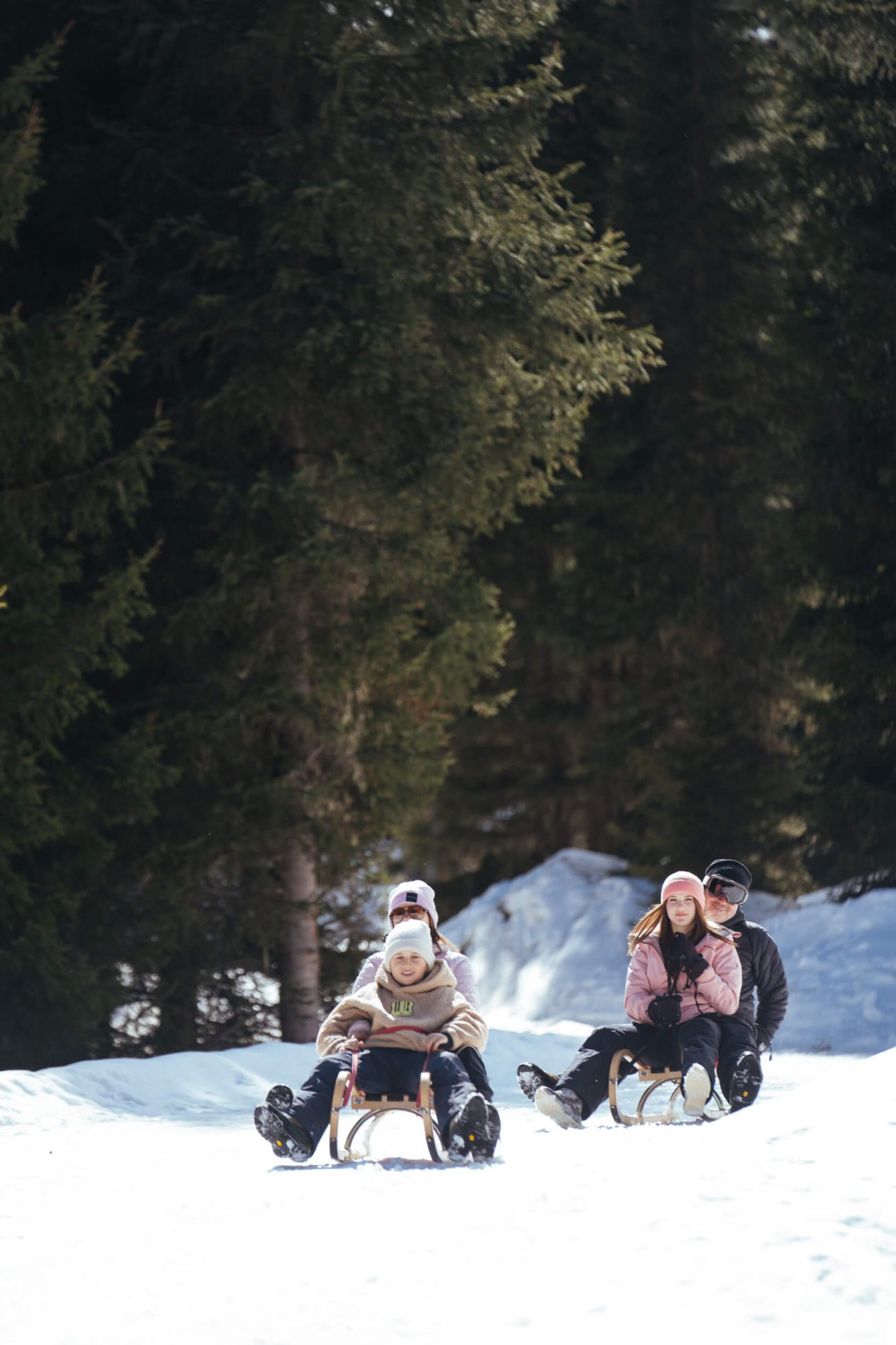 Home rodelpark mit skihütte und bergblick6